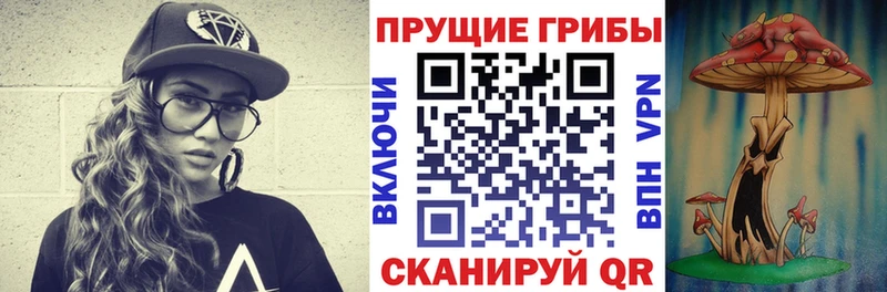 Псилоцибиновые грибы Cubensis  Северобайкальск 