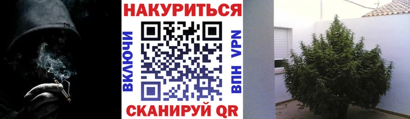 Бошки Шишки семена  Северобайкальск 